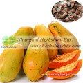 Chinese Quality Papaya Seeds For Sale